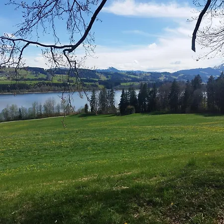 Hoellisch