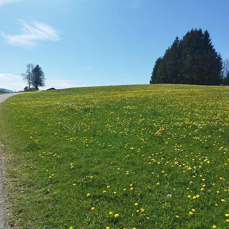 Hoellisch Sulzberg