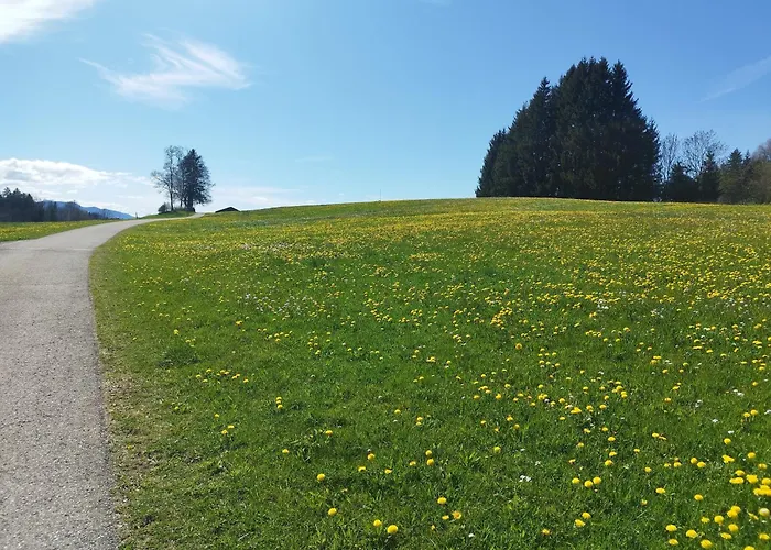 Höllisch Sulzberg
